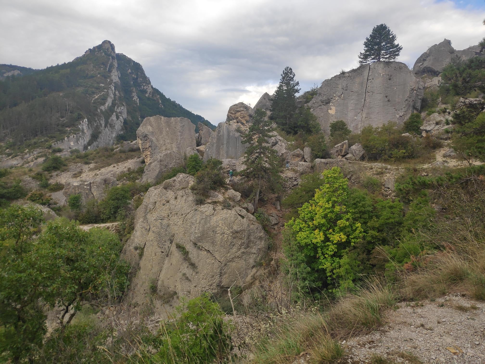 Paysage drome 092024
